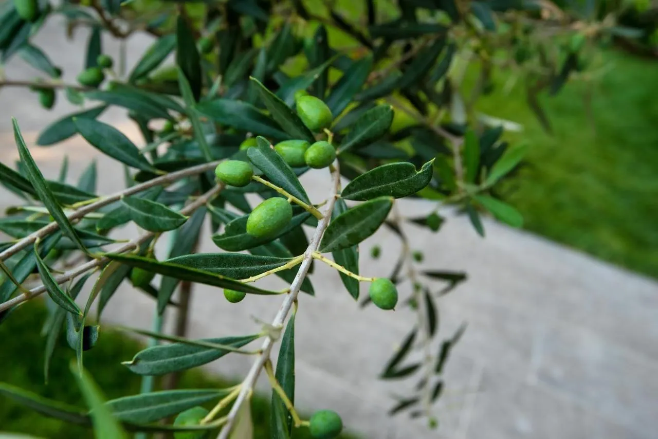 Apartment Ferienwohnung Olive 103 Peraía Griechenland